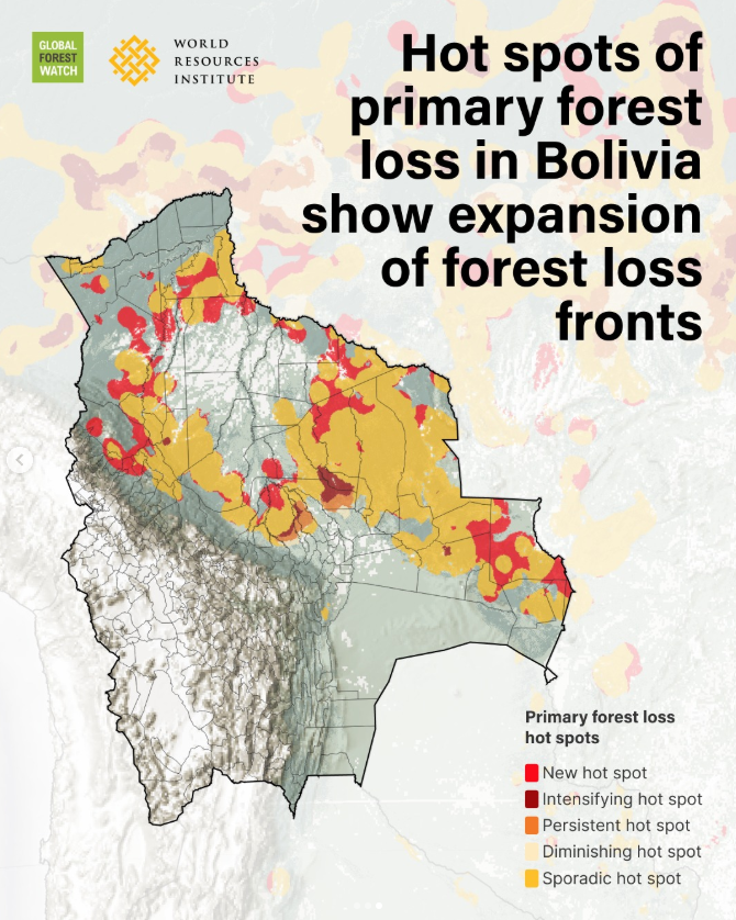 Hot spots of primary forest loss in Bolivia