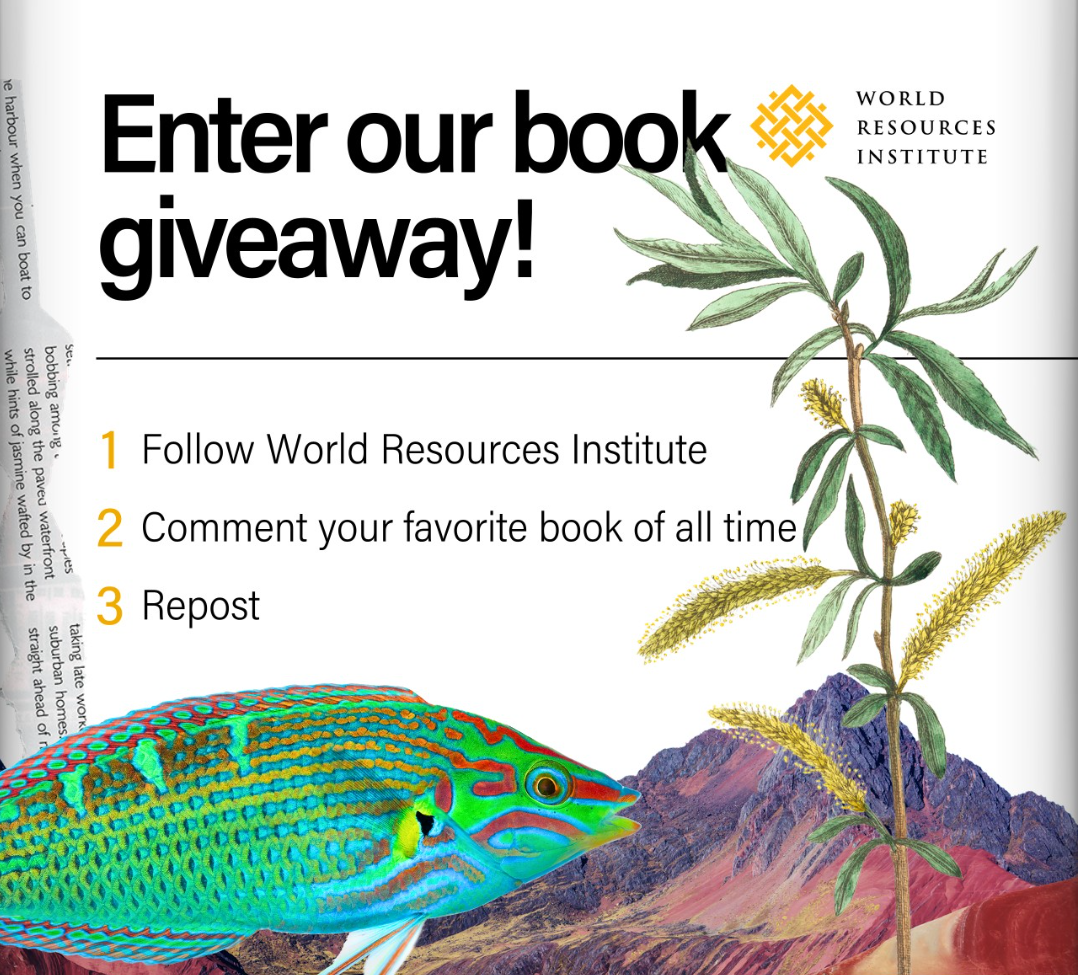 book giveaway