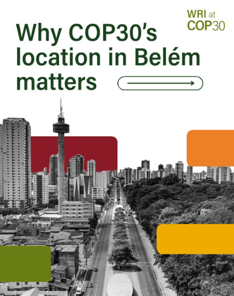 COP30 Linkedin graphic