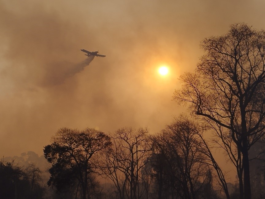 Airplane putting out fires