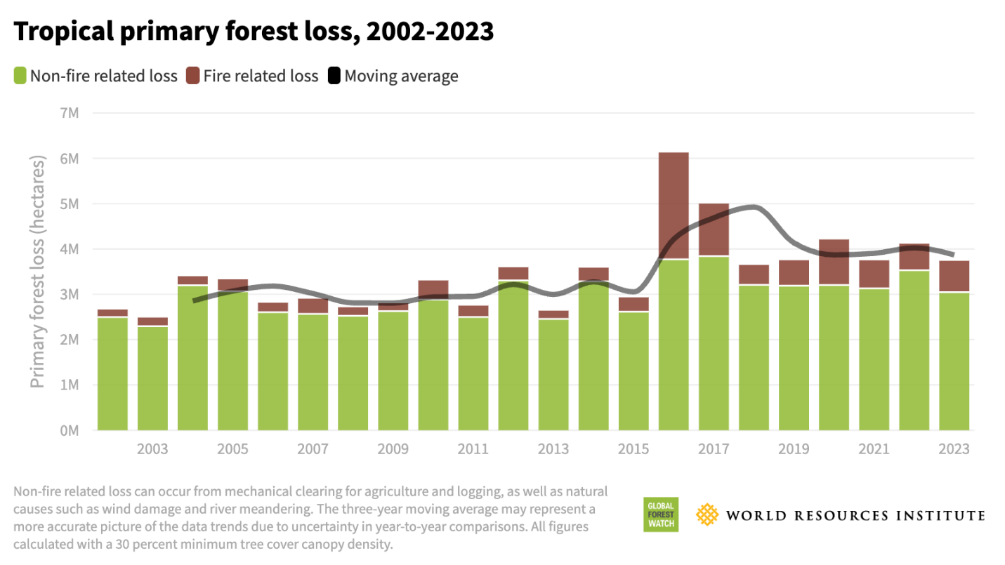 Tropical primary forest loss
