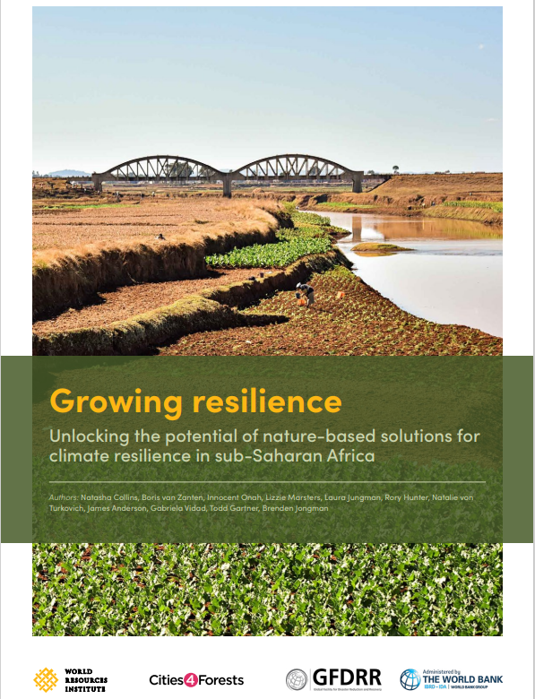 Growing resilience download