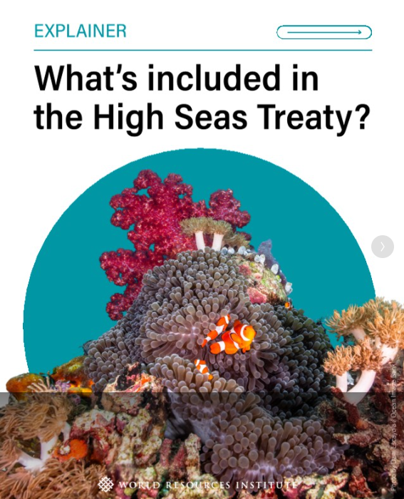 What's included in the high seas treaty