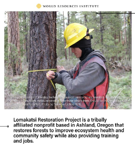 Lomakatsi restoration project