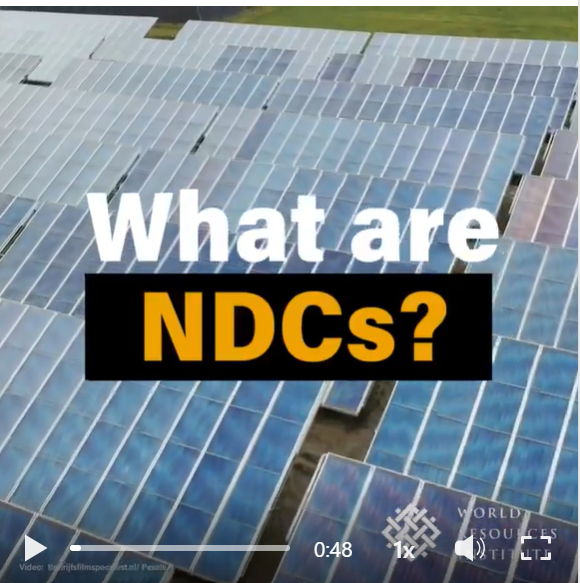 What are NDCs?