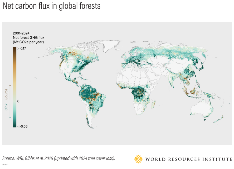 Net Carbon flux in global forests