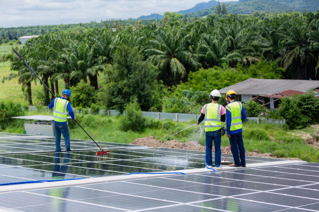 Cleaning solar panels