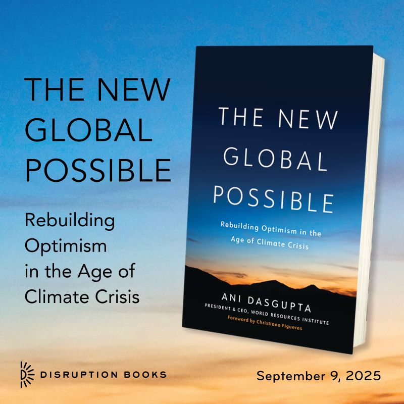 The New Global Possible book