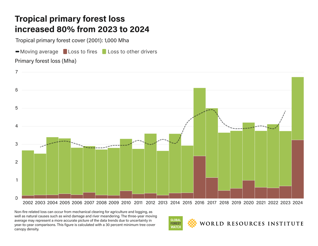 Tropical primary forest loss increased 80% from 2023 to 2024