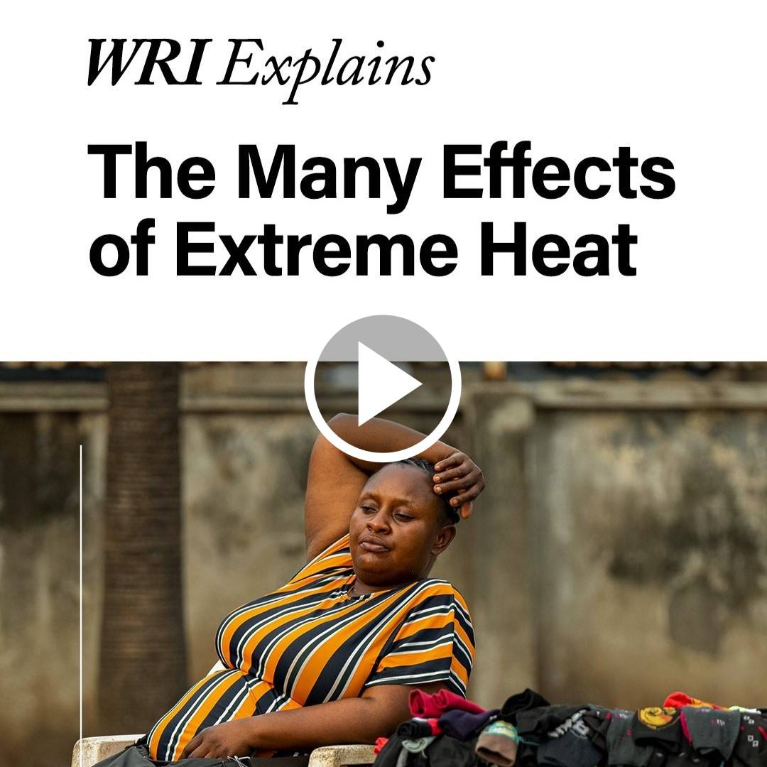 The many effects of extreme heat graphic
