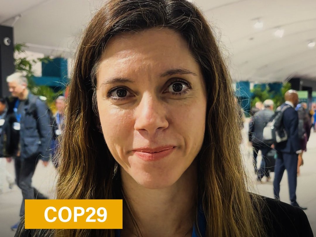 Diretora de Clima WRI BRASIL