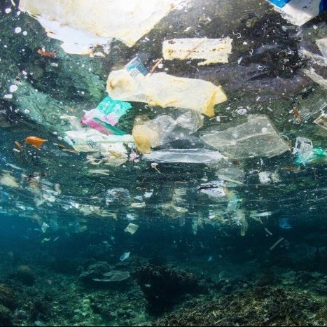 Trash floating in the ocean