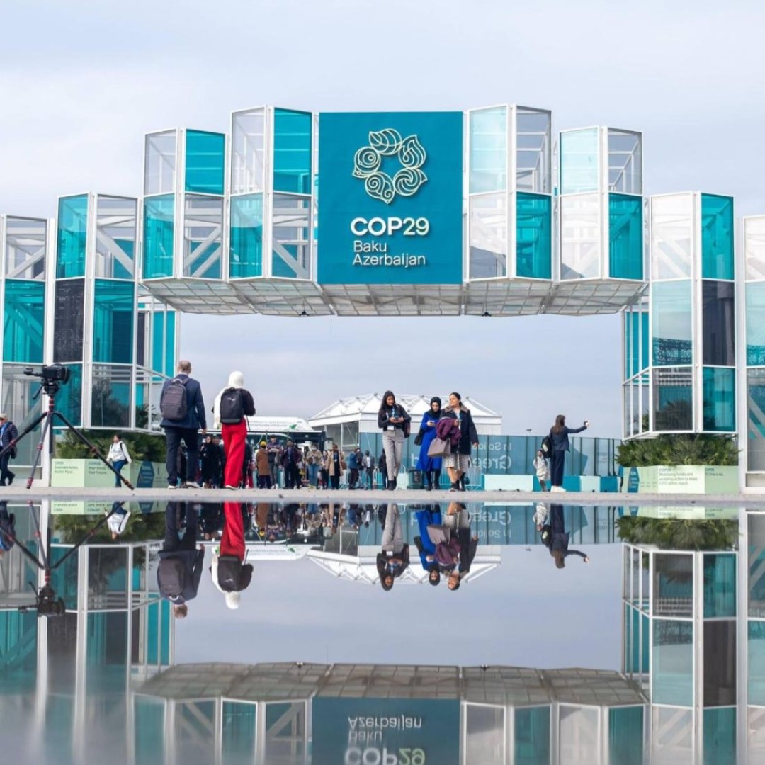 People walk under an ornate archway labeled ''COP29.''