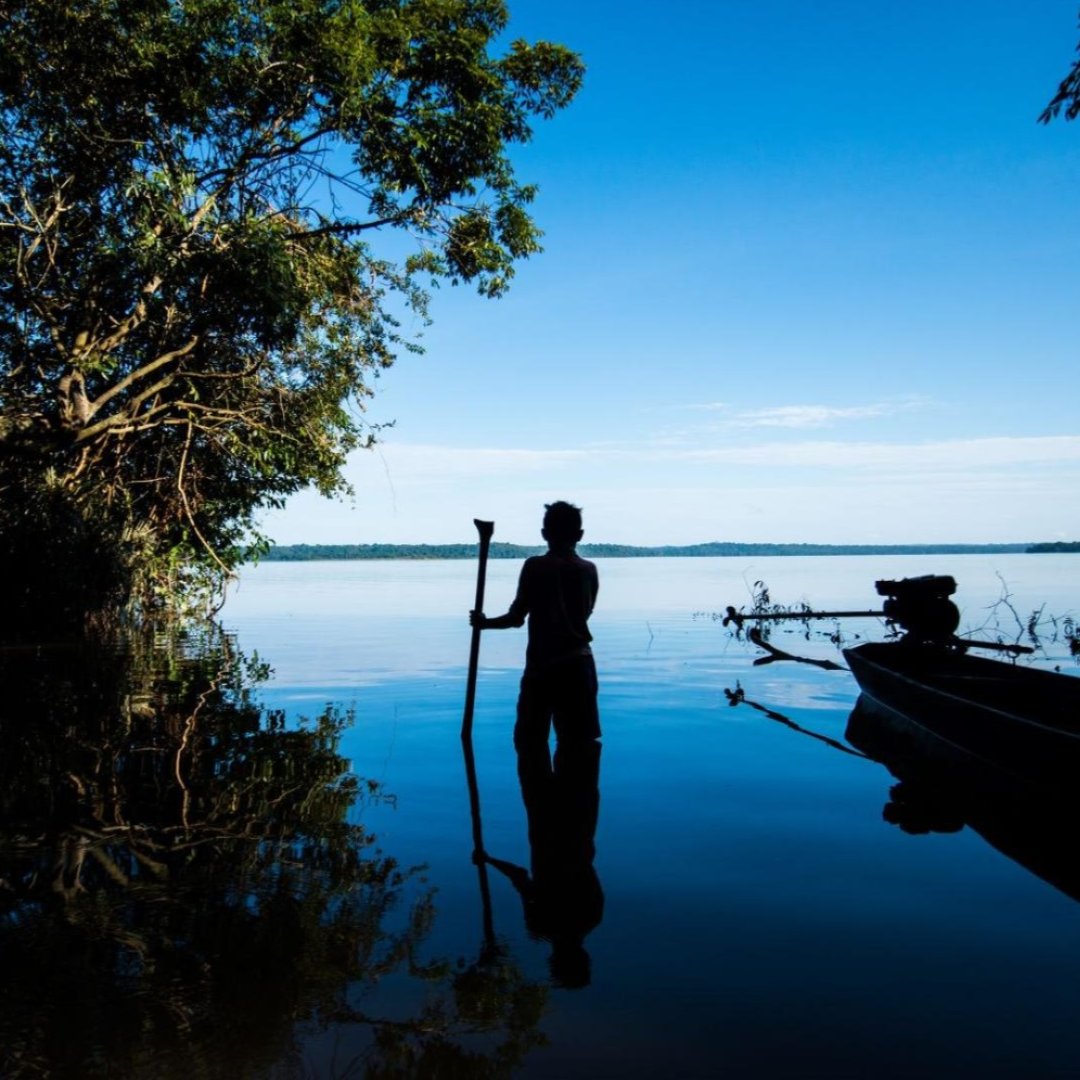 Silhouette of a man standing in a river surrounded by trees in the Amazon rainforest.