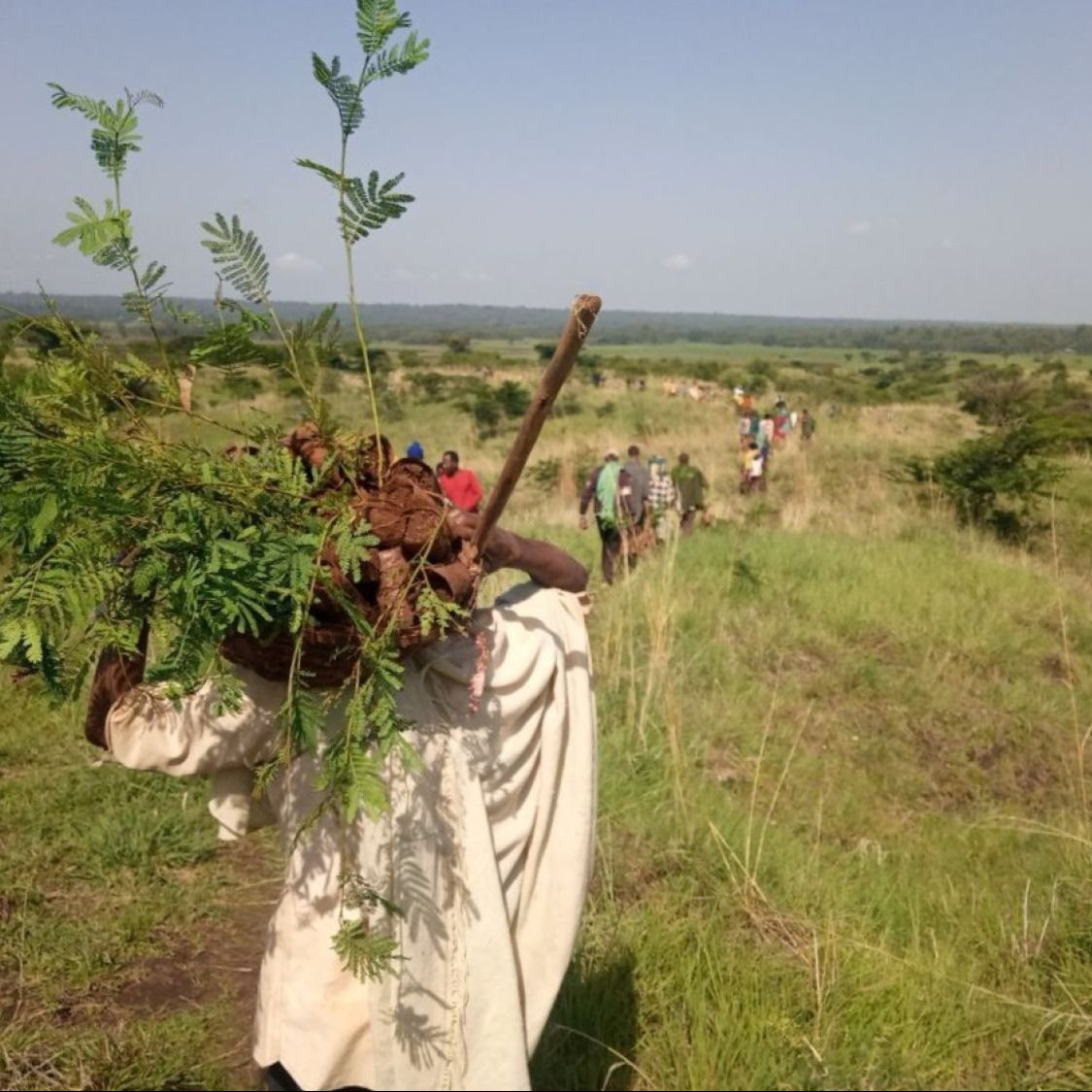 Person carrying a plant