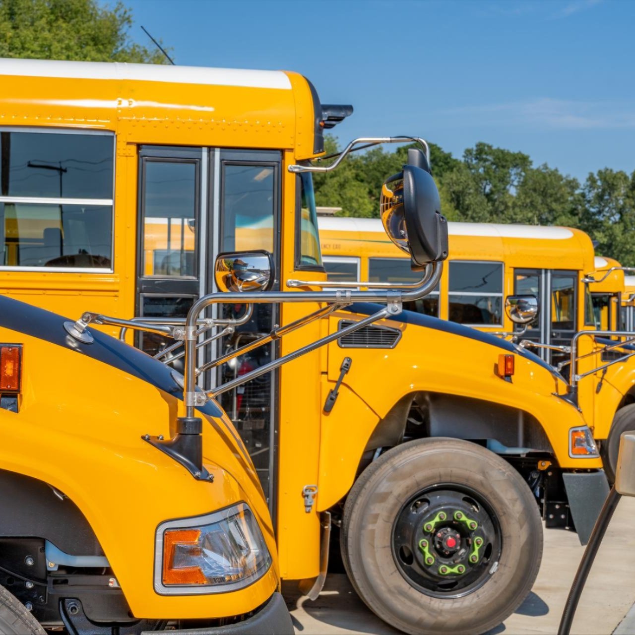 school buses