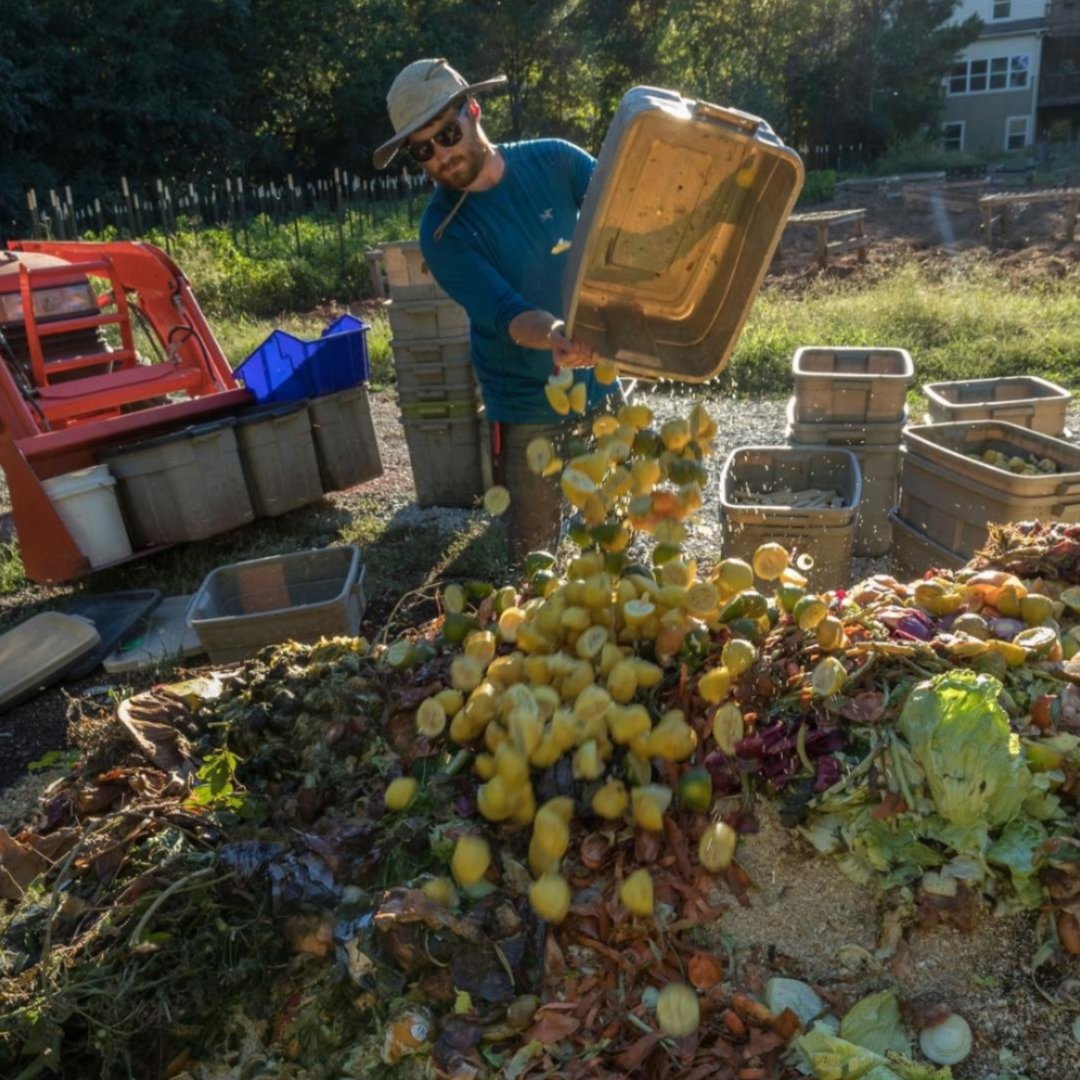 A farm worker empties crates of produce onto a compost heap.