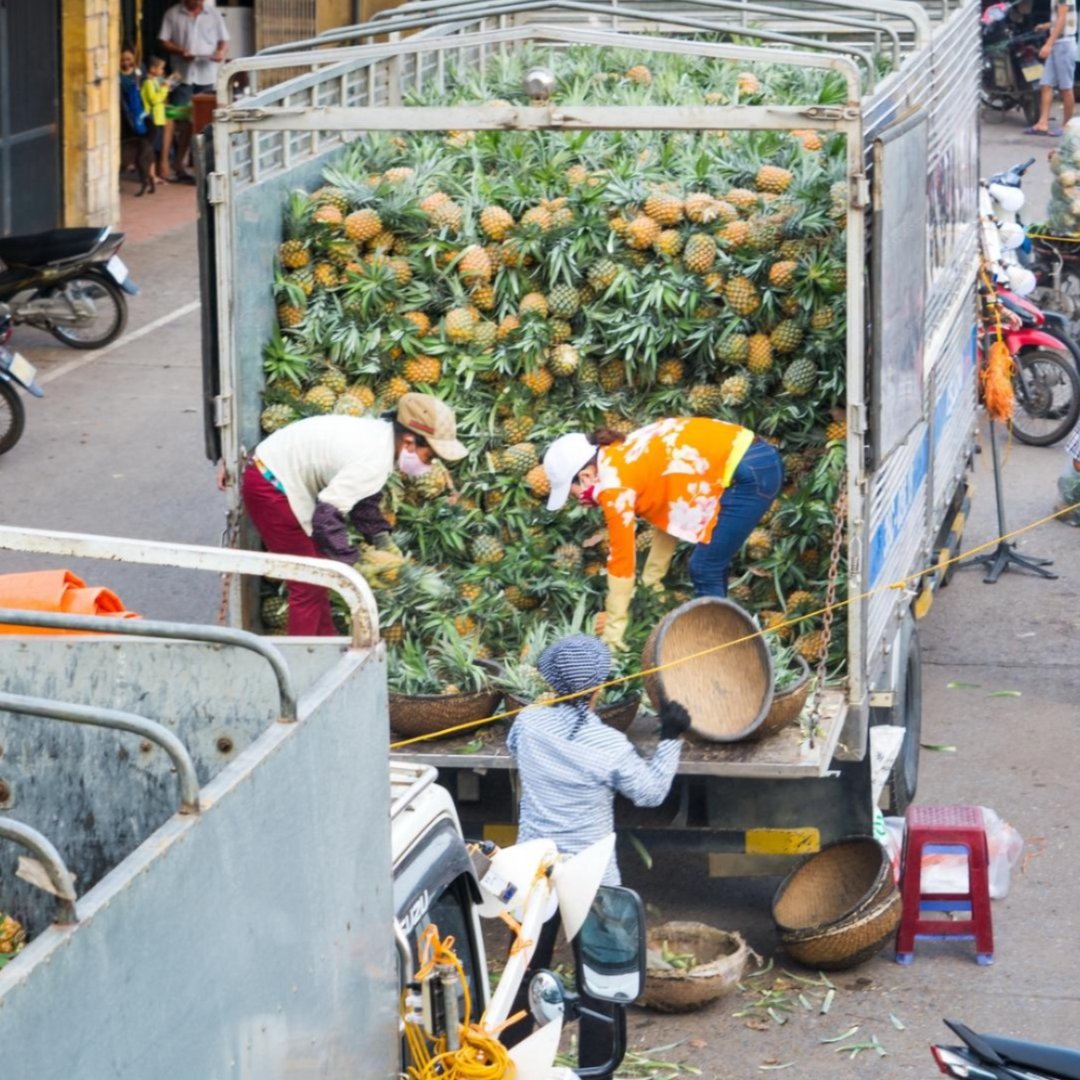 Three people unload pineapple from a truck on a busy street in Vietnam