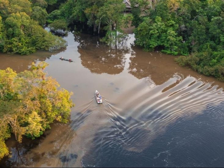 COP 16 biodiversidade