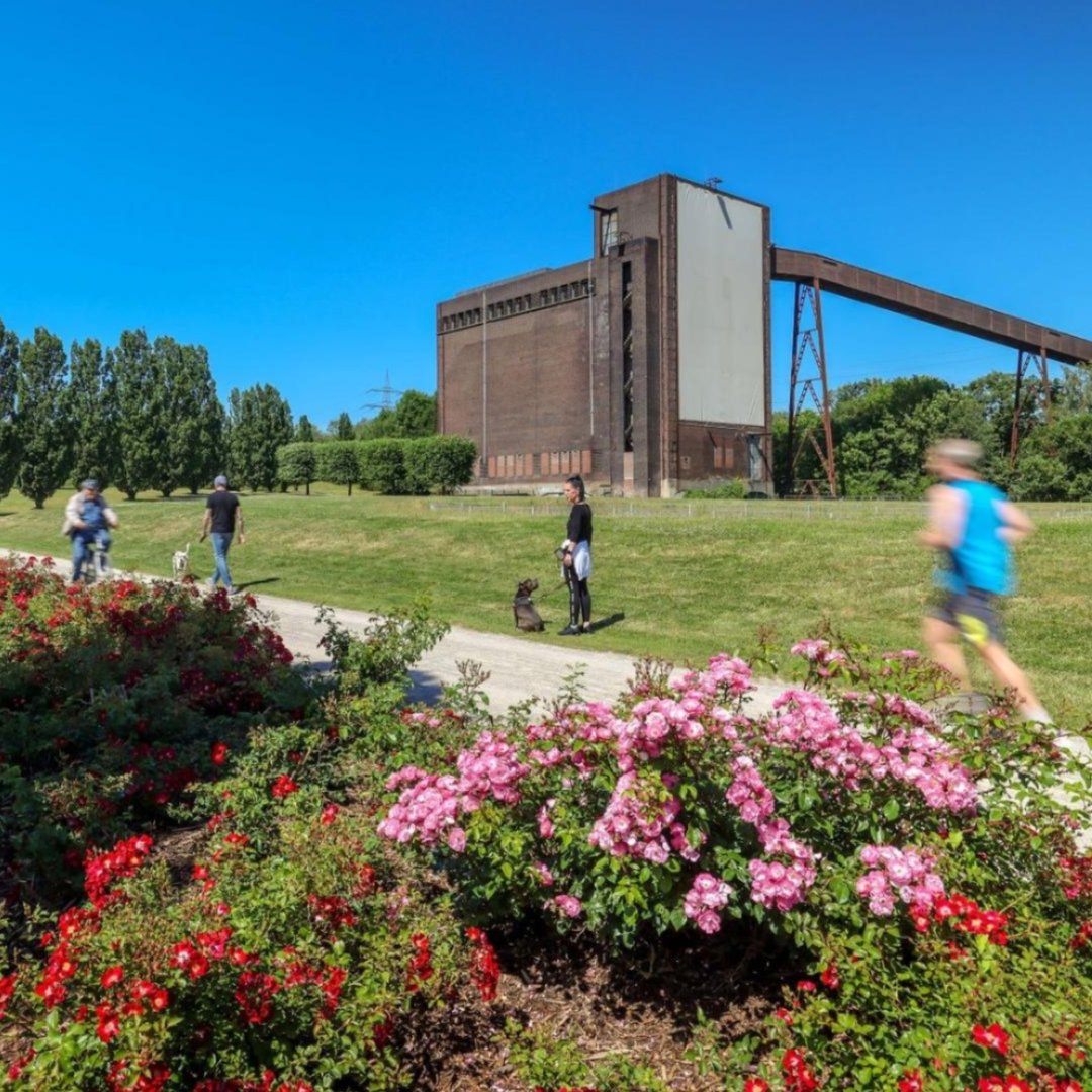 A vibrant park on the site of a former coal mine in Gelsenkirchen, Germany. A just transition aims to ensure that all the benefits of shifting to a cleaner economy, including things like cleaner air and social welfare, are equally shared. 