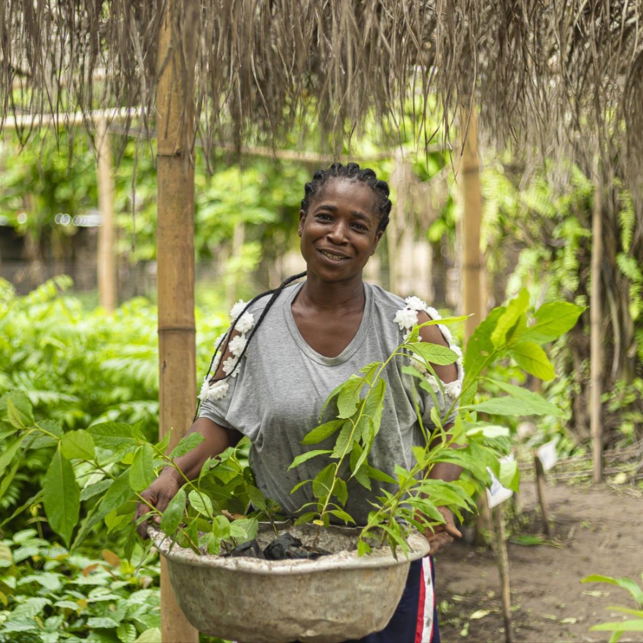 Cocoa farmer