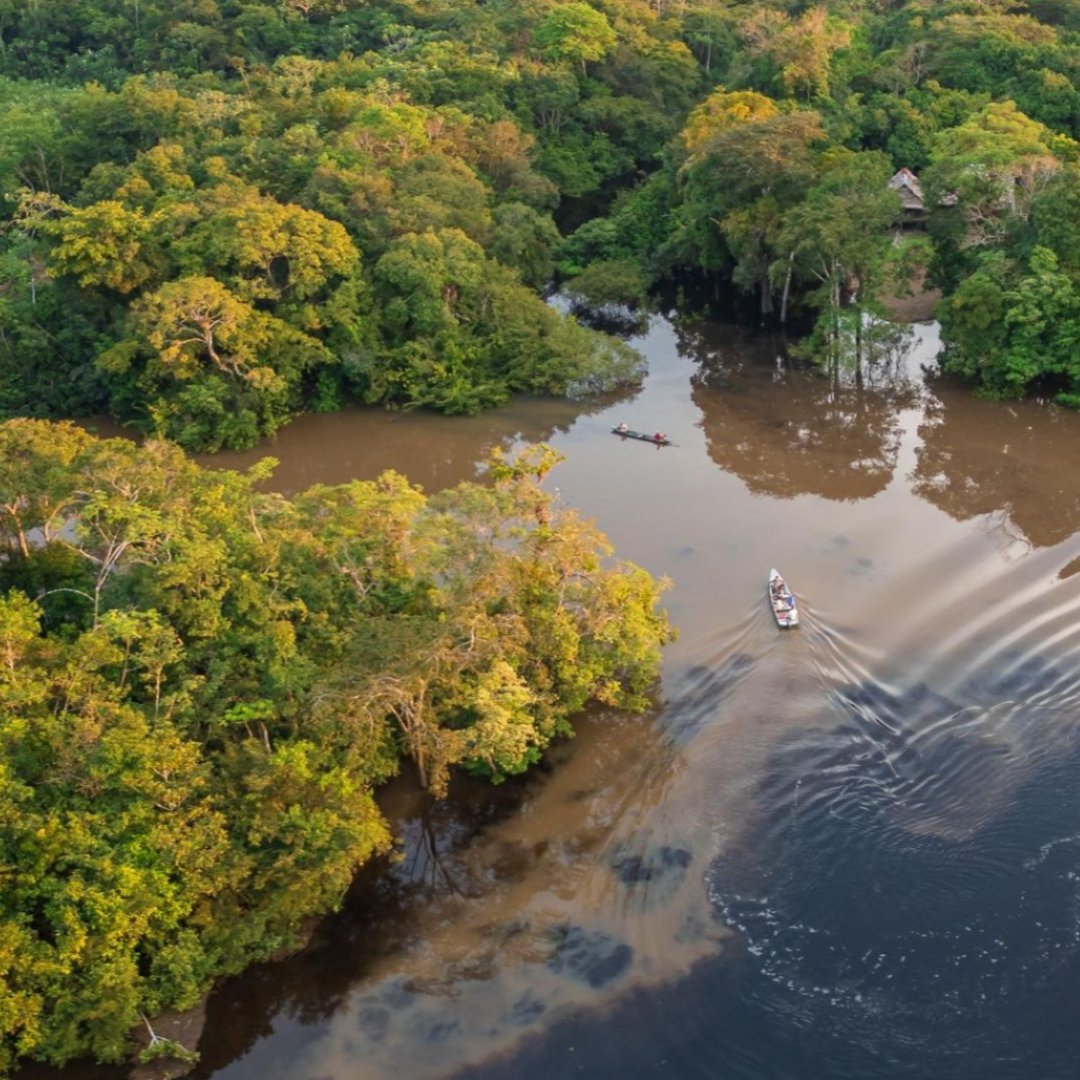 Aerial view of a river with boats on it in a lush rainforest