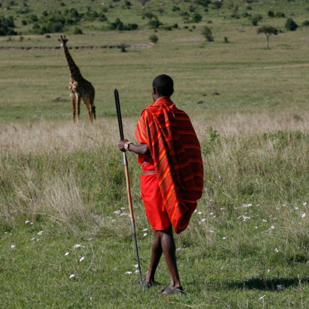 A man in red tribal dress looking at a giraffe