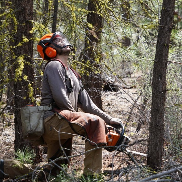 Wildfire prevention