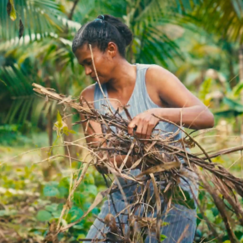 Small-Farmers in-Brazil Are Bringing the Amazon Back to Life