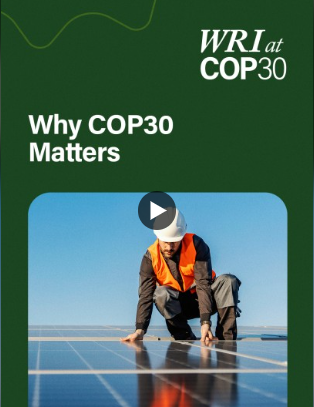 How the tropical forest forever facility will work