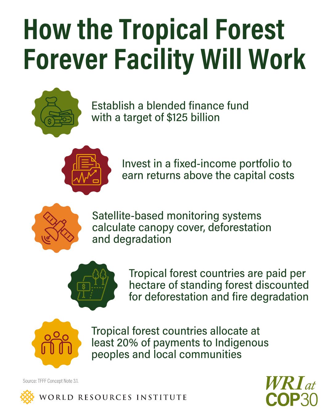 How the tropical forest forever facility will work