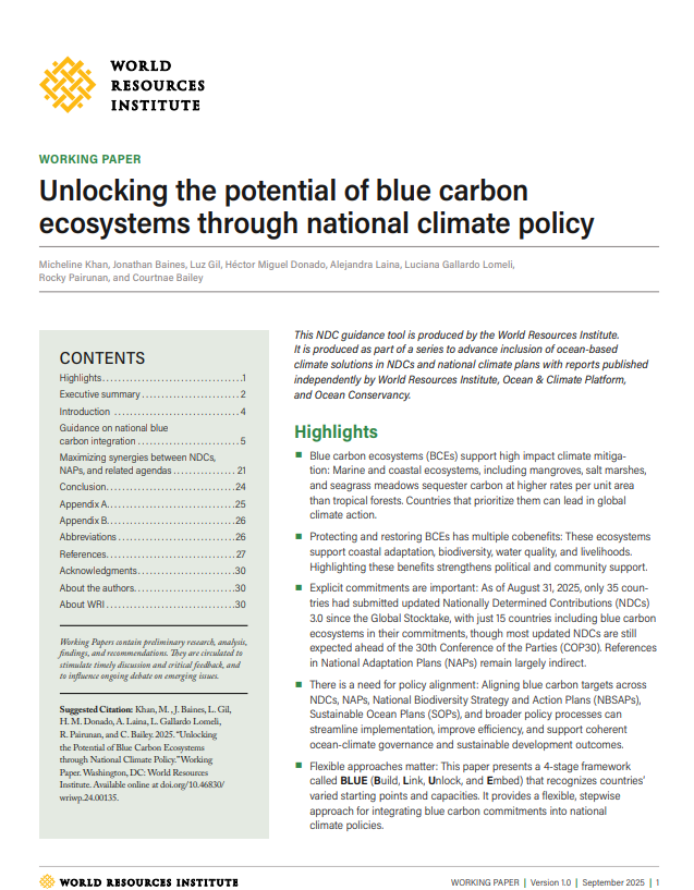 Unlocking the potential of blue carbon ecosystems