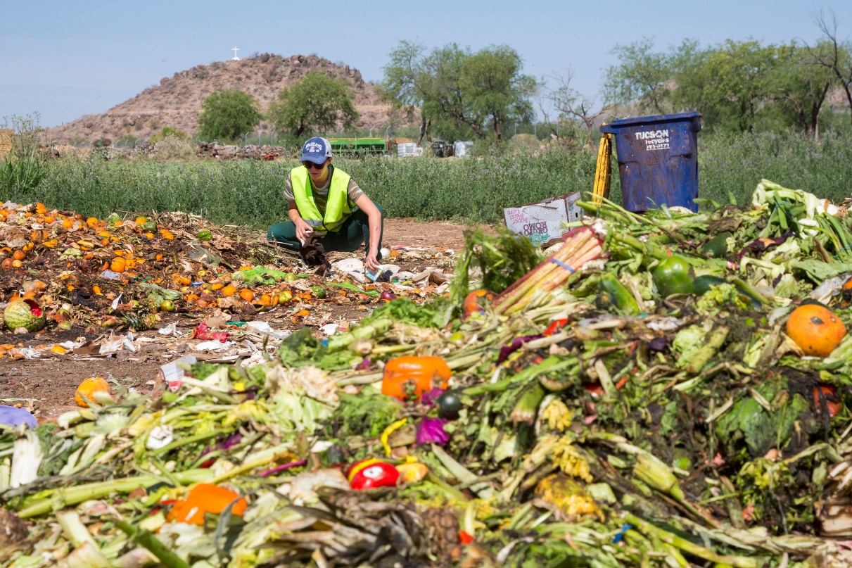 A person in a yellow vest looking at spoiled food